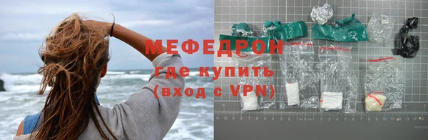 шишки Няндома