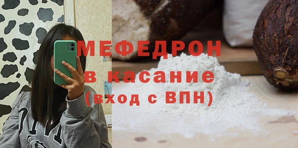 шишки Няндома
