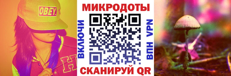Галлюциногенные грибы Psilocybine cubensis Салаир