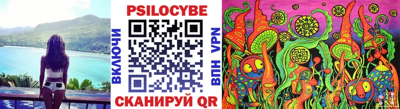 блэк спрут ссылки  хочу   Салаир  Псилоцибиновые грибы прущие грибы 